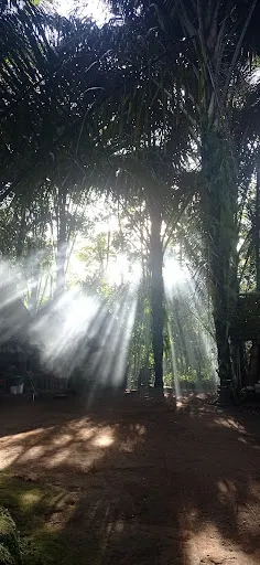 Beji Retreat View 4