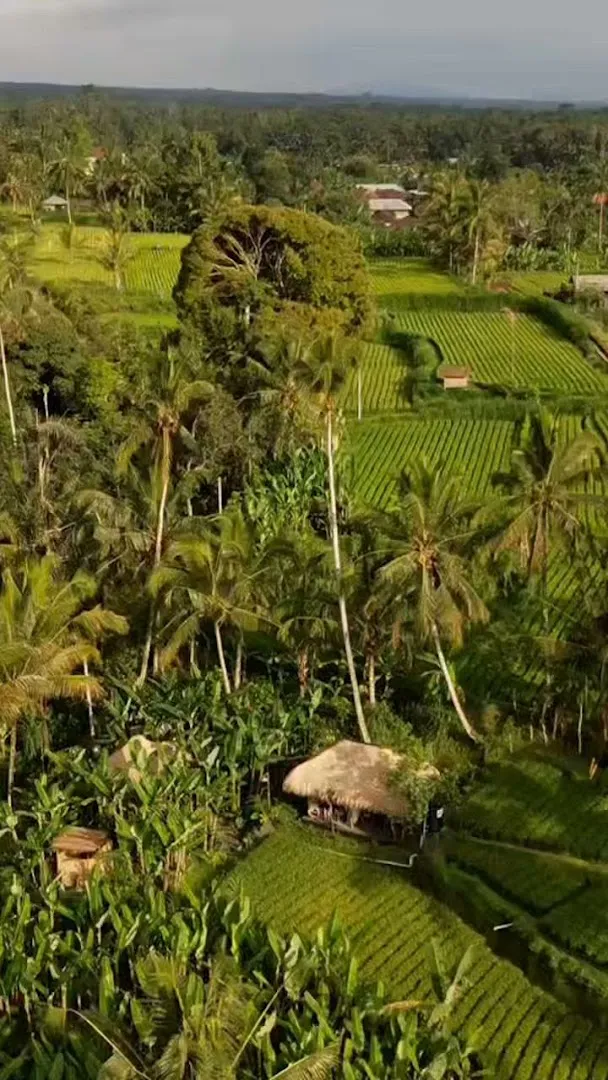 Jero Traditional Spa & Therapy - Wellness massage Please Make Reservation In Advance 1