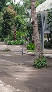 LINGGA YOGA by The Jungle Pots 1