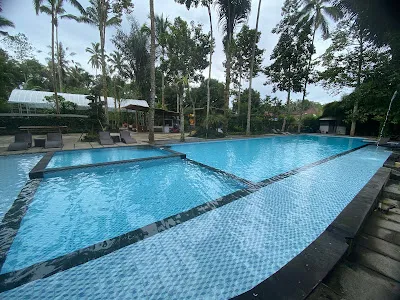 LINGGA YOGA by The Jungle Pots 2