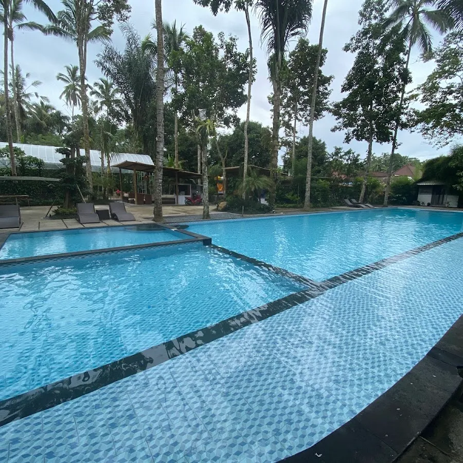 LINGGA YOGA by The Jungle Pots 3