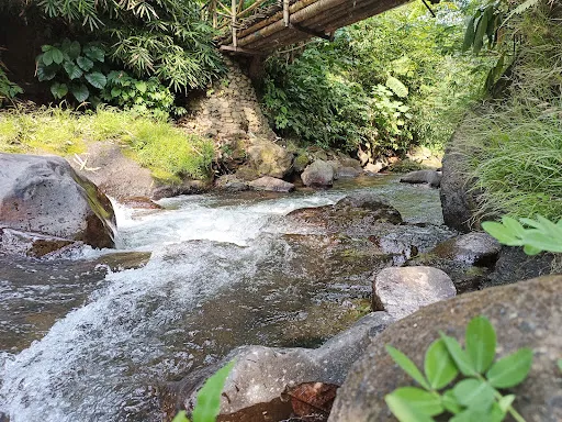 Campuhan Antapan Waterfall 2