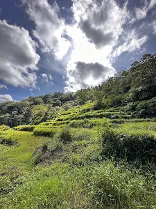 Wisata Tukad Ngongkong 1