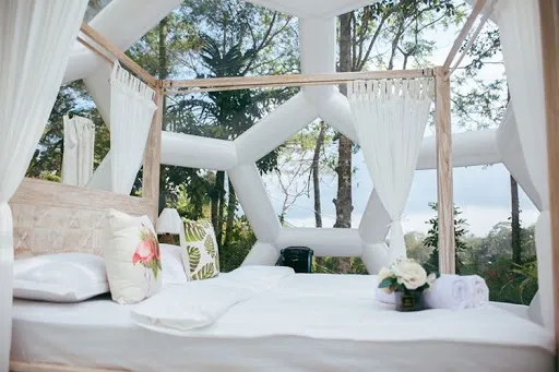 Jungle Bubble Lodge 1