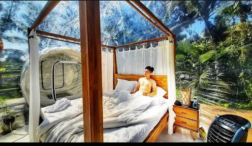 Jungle Bubble Lodge 3