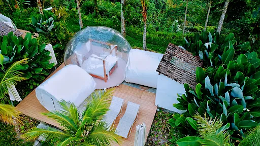 Jungle Bubble Lodge 4