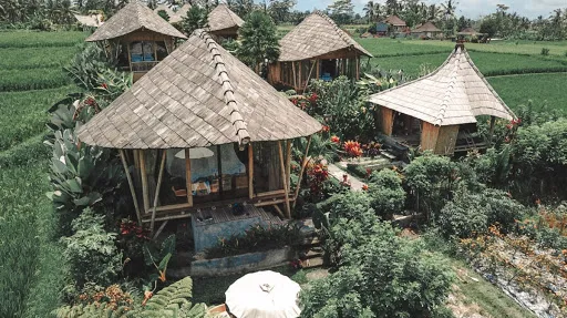 Padi Bali Eco Villas 4