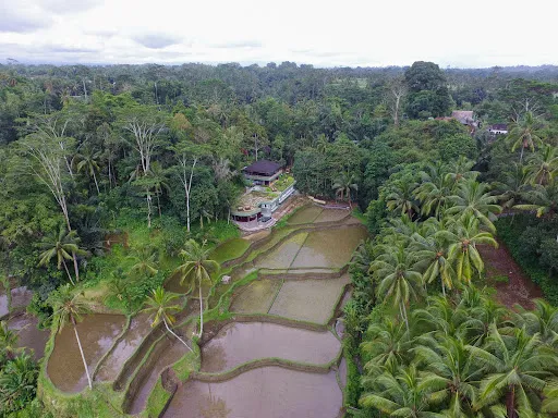 Oneworld Ayurveda Tegallalang 4