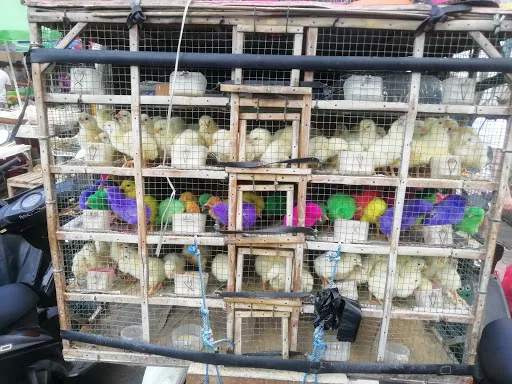 Tegallalang Market (Pasar Umum) 4