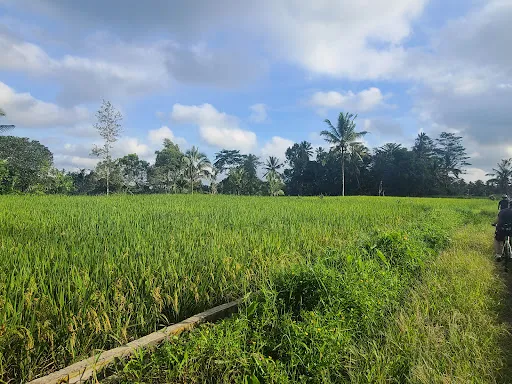 Greenbike Adventure 2