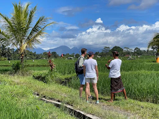 Bali Nature Treks & Art 3