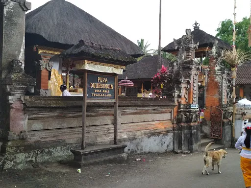 Pura DUUR BINGIN 1