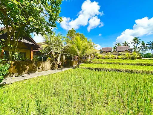 Dupa ubud villa 4