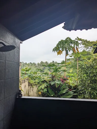 Secluded Jungle Villa 2