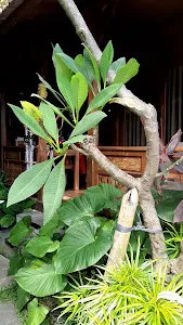 Puri Landu Ubud Luxury villas 2