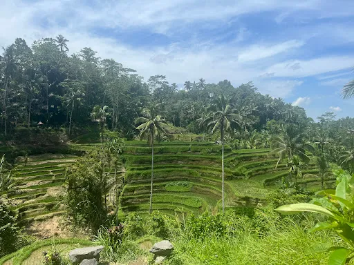 Bali Bliss Tour 1