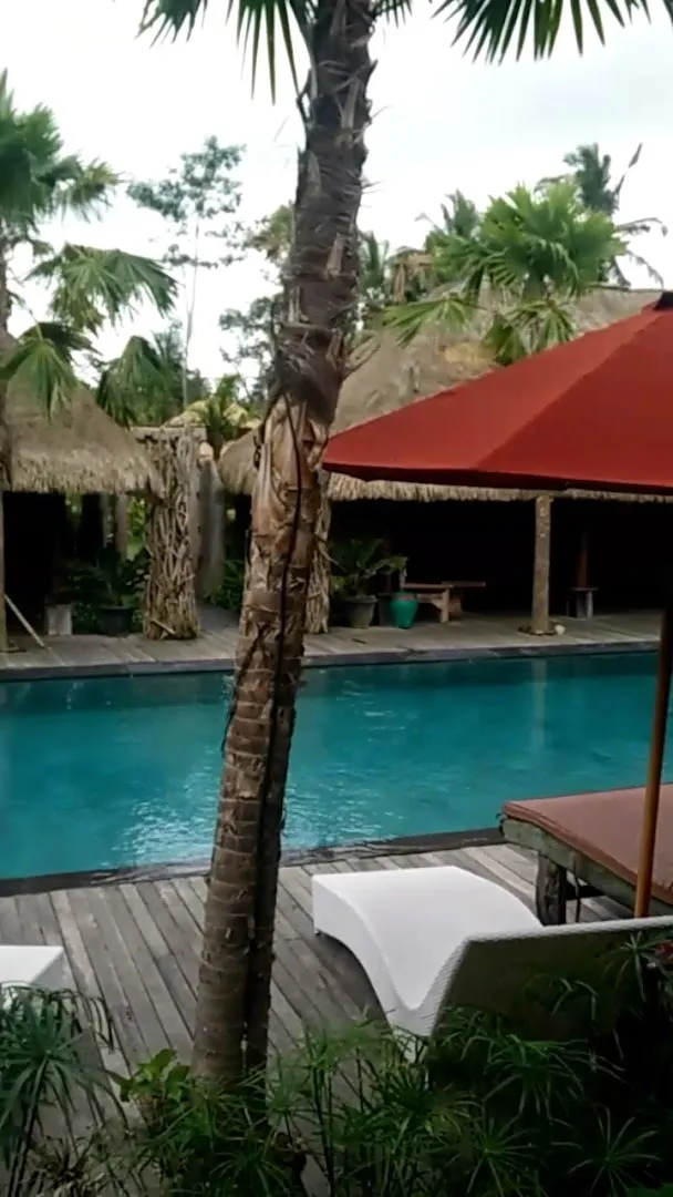 Ubud Virgin Villa 2 1