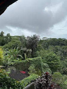 Black Penny Restaurant 1