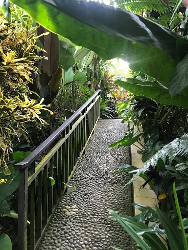 Cozy Wayan Sueta Bed & Breakfast 4