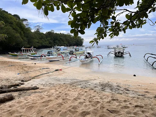 Bali Natural Tours 2