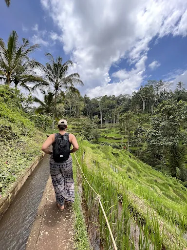 Bali Natural Tours 4