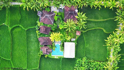 Hati Padi Cottages 4