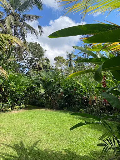 Vaneka Garden House 3