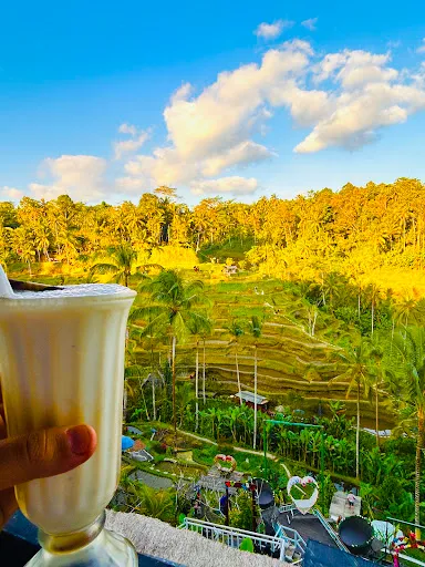 Klumpu padi terrace 2