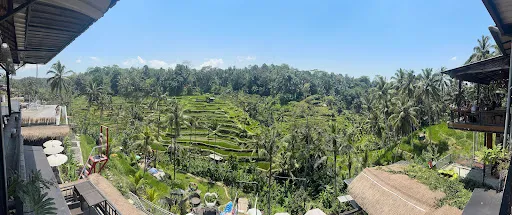 Klumpu padi terrace 3