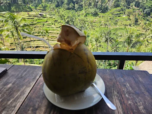Klumpu padi terrace 4