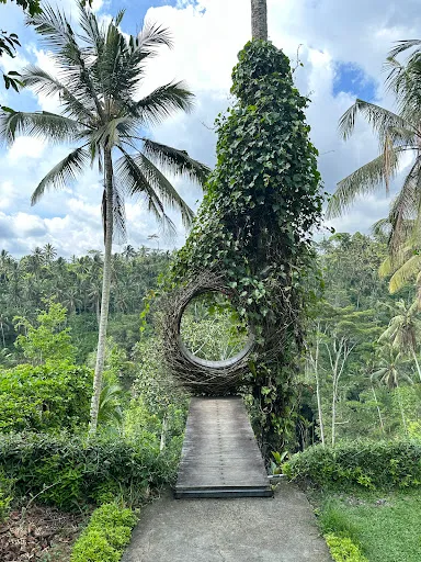 Bali Mesari Cycling Tours 2