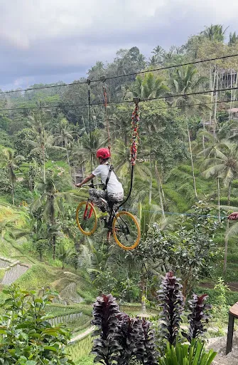 Ricefields Tegalalang Real 2