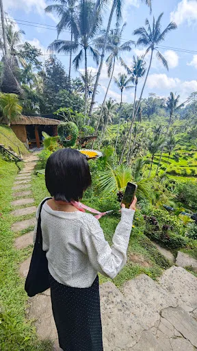 Ricefields Tegalalang Real 3