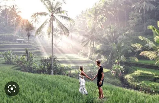Ricefields Tegalalang Real 4