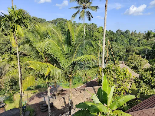 Ubud Jungle Swing 4