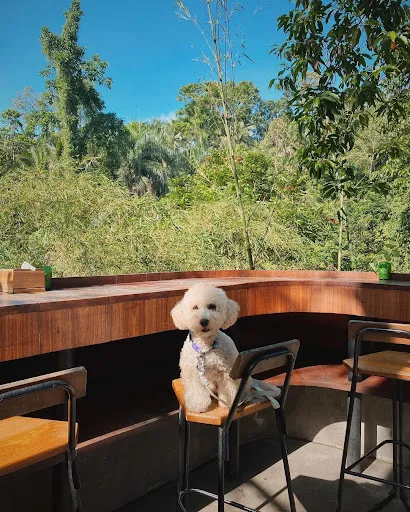 WYAH Art & Creative Space 1