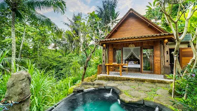 Anandari Ubud villa 1