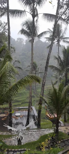 Dukuh Terrace Swing
