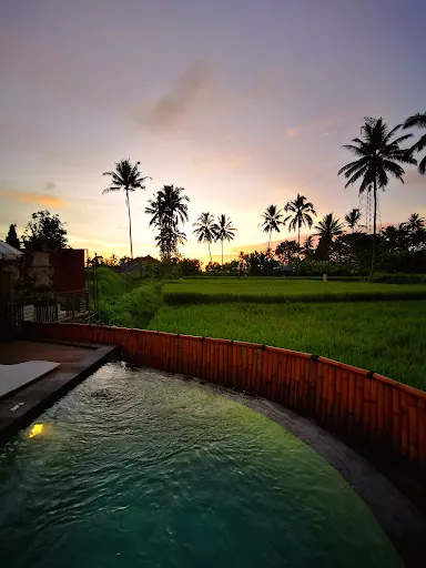 Triyana Resort Carangsari 4