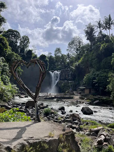 Best Bali Tour _ tour organized 4