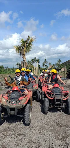 bali excellent driver 1