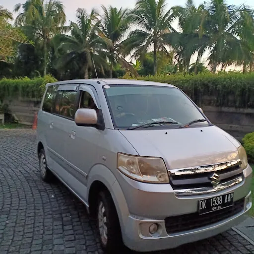 bali excellent driver 4