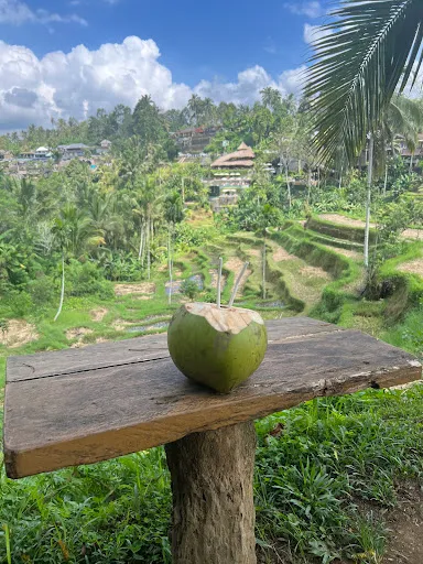 Muou Rice Terraces Mupu Rice Terrace - Tegallalang, Bali