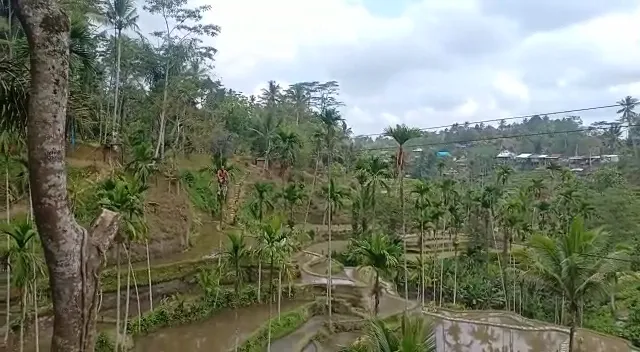 Hidden Valley Tunggir Bali 1