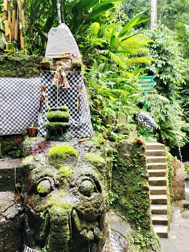 Ubud Tour and spiritual Journey 1