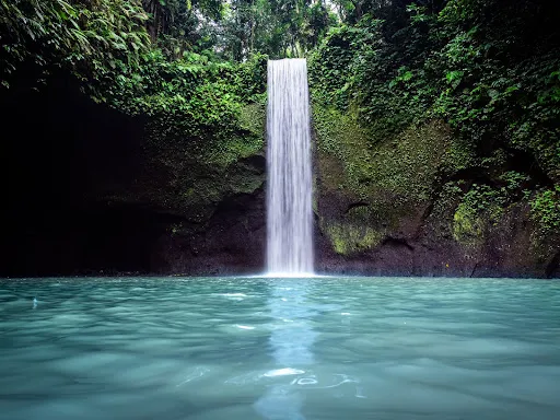 Amara Bali Family Tour 2