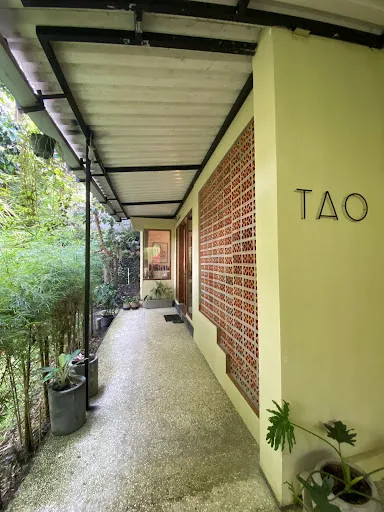 TAO Medicine Ubud 2
