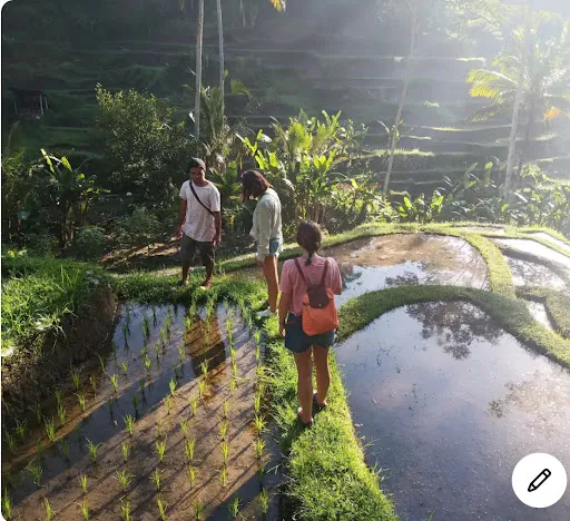 Explore rice field & jungle incl authentic lunch/dinner 1