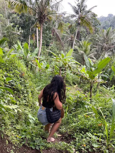 Explore rice field & jungle incl authentic lunch/dinner 3
