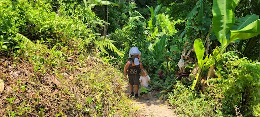 Explore rice field & jungle incl authentic lunch/dinner 4